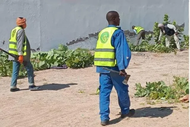 Des agents de nettoyage en gilet jaune désherbent le bord d'une route