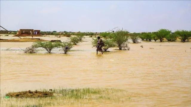 Des eaux de pluie stagnantes recouvrant un terrain parsemé d'arbustes et de bâtiments