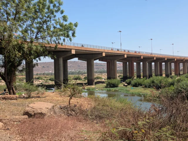 Un pont en béton sur le fleuve Niger à Bamako, avec des arbres au premier plan