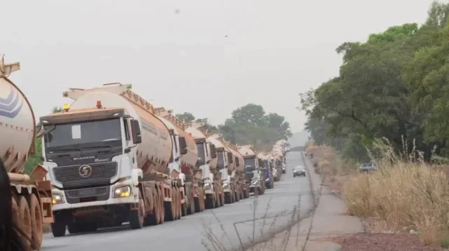 Une longue file de camions-citernes de carburant sur une route bordée d'arbres, photo d'archives