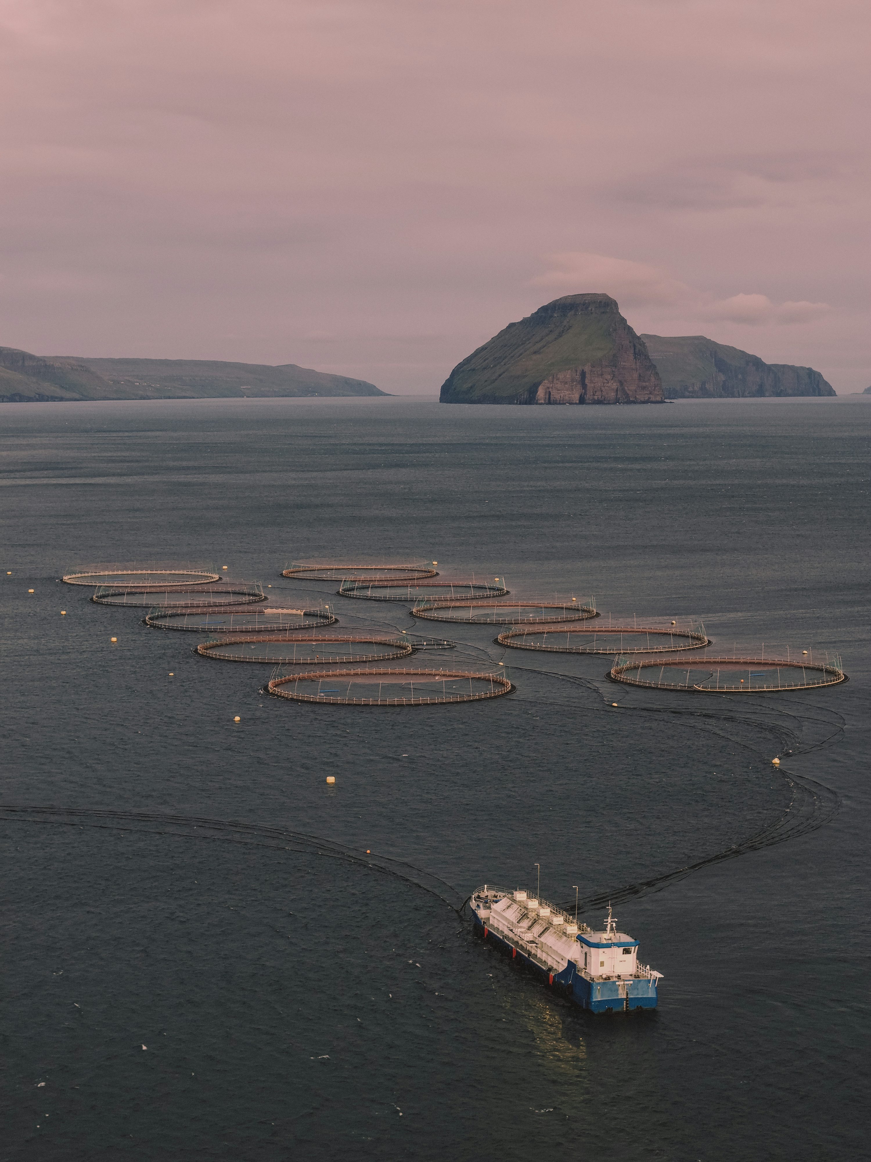 Photo d'illustration d'archives : cages aquacoles et bateau aux îles Féroé, publiée en septembre 2025 ; ni la Mauritanie ni un site identifié dans l'enquête