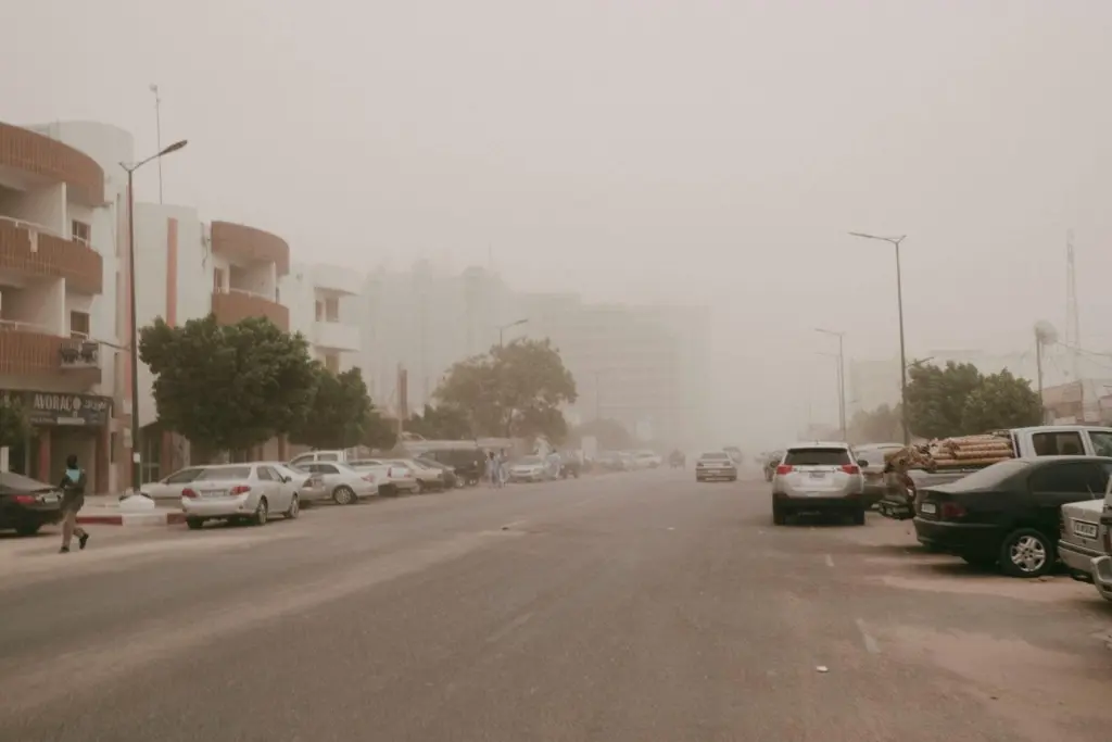 Une rue de Nouakchott sous un voile de poussière, avec une visibilité réduite