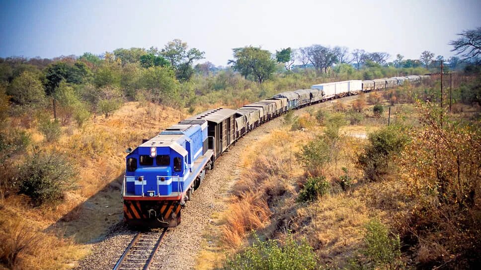 Une locomotive diesel bleue tirant des wagons de fret sur une voie unique en pleine brousse, illustration d'archives