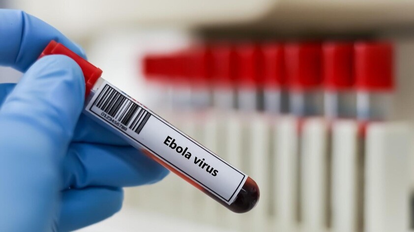 Une main gantée de bleu tient un tube d'échantillon étiqueté virus Ebola, image d'illustration
