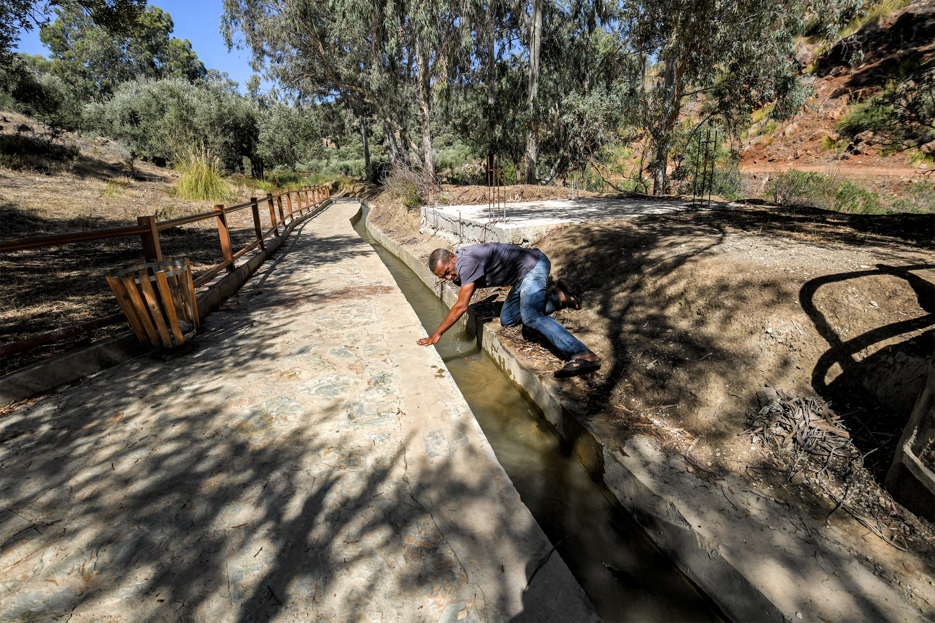 Un homme penché au-dessus d'un canal d'irrigation en béton parmi les arbres, photo d'archives