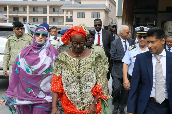 La délégation officielle marche devant un bâtiment industriel à Nouadhibou