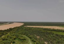 Un plan gouvernemental pour renforcer la protection de la forêt de 'Gani' au sud de la Mauritanie