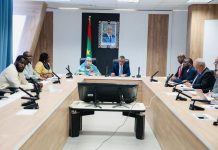 La Mauritanie envisage de lancer une plateforme numérique intégrée pour le secteur de la santé