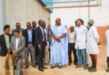 Le ministre de l'Elévage inspecte le centre de collecte du lait à Chamiya