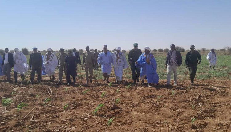 Le wali de l’Inchiri : Visites dans la commune d’Akjoujt des zones agricoles dans la commune d’Akjoujt
