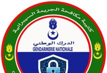 La gendarmerie démantèle un réseau de fraude numérique et d'exploitation des identités des citoyens dans des opérations suspectes