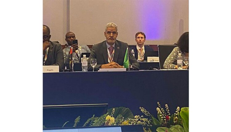 Rio de Janeiro : Tenue d’une réunion consacrée à l’adoption des déclarations publiées par le G20