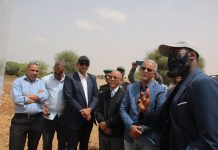 Ministre de l'agriculture : La campagne de plantation du riz d'été promet une récolte favorable