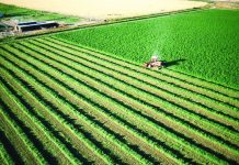 L'Afrique a le taux de croissance des terres agricoles le plus élevé au monde entre 2001 et 2023