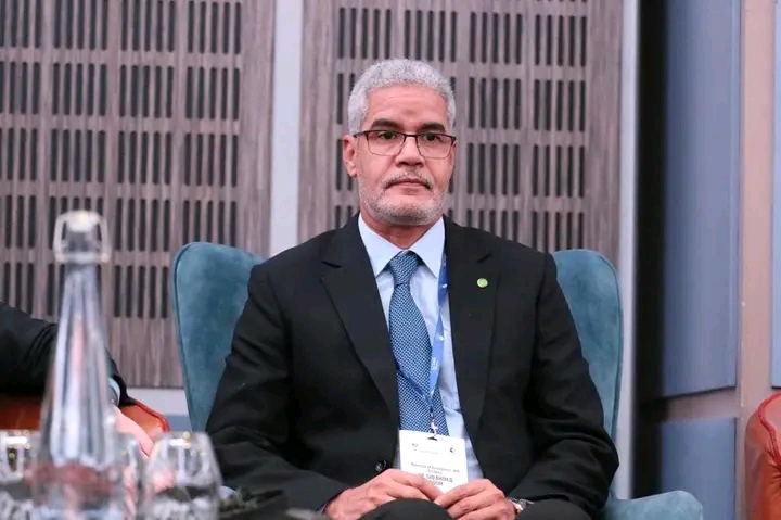 La Mauritanie participe au Sommet financier africain (AFIS-2024)