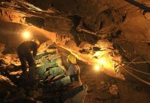 Le Niger nationalise la plus importante mine d'or du pays