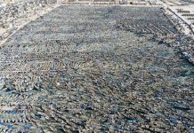 Nouadhibou : reprise des activités de pêche artisanale après deux mois et demi d'interruption