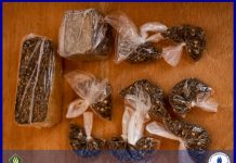 La gendarmerie démantèle deux réseaux de trafic de drogue à Atar et arrête 13 personnes