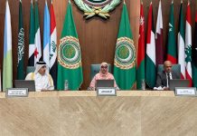 La Mauritanie présente le bilan de sa présidence du Conseil des ministres arabes de l'environnement