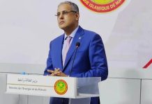 Ministre de l'énergie : Nous travaillons pour trouver une solution radicale à la crise de l'électricité à Nouakchott