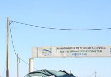 Craintes des conséquences de la guerre au Moyen-Orient:La Mauritanie renforce le contrôle sur la contrebande de denrées alimentaires vers le Sénégal.