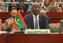 Le ministre des Affaires étrangères participe à la 47ème session du Conseil exécutif de l'Union africaine