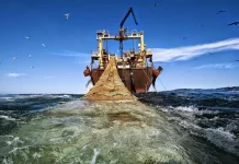 Nouadhibou : 5 marins disparus après la collision entre un navire de pêche mauritanien et un navire russe