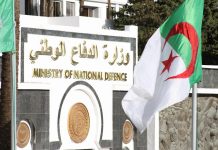 L'Algérie dément les informations circulant au sujet de la création d'unités mercenaires dans le Sahel