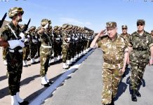Algérie : Région de Tindouf, près de la frontière avec le Maroc, exercice militaire tactique à balles réelles