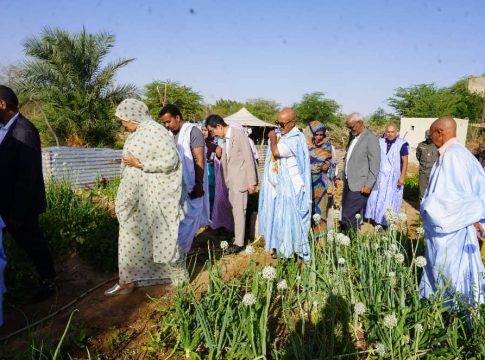 Le commissaire à la sécurité alimentaire et l'ambassadeur du Japon visitent des projets agricoles à Aleg et au Trarza