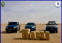 Nouadhibou : La gendarmerie saisit près d'une tonne de drogues à fort impact