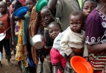 Plus de 20 % de la population africaine a été confrontée à la faim en 2024 : rapport de l'ONU