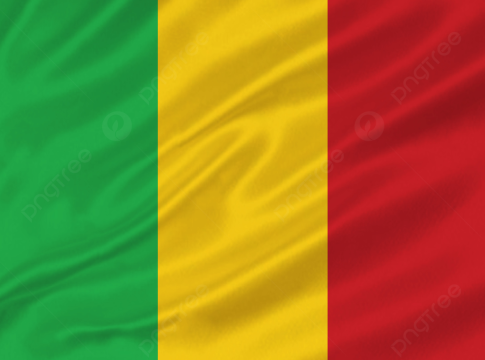 Mali : Le Groupe du 31 mars annonce l'arrestation de plusieurs de ses dirigeants