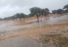 Pluies dans cinq Wilayas