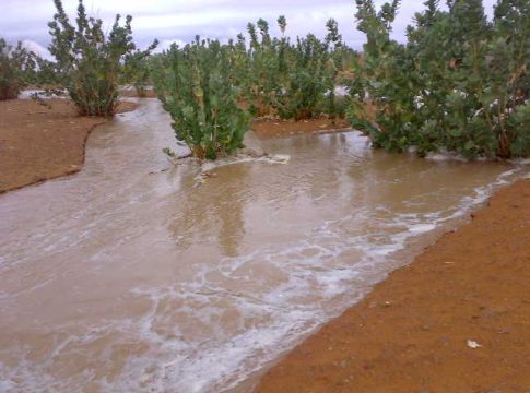 Précipitations dans les wilayas du Gorgol et de l’Adrar