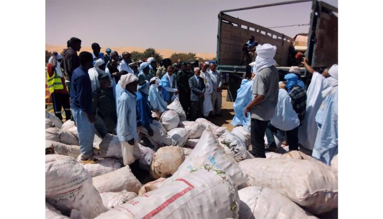 Adrar : lancement de la campagne de commercialisation des légumes vers les marchés nationaux au titre de la campagne agricole 2023-2024