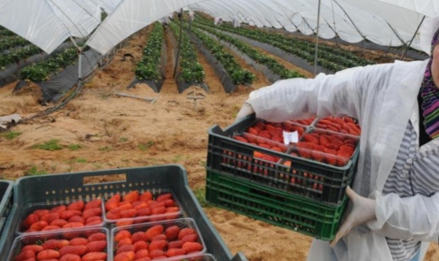 Mauritanie : Le gouvernement lance un programme de migration légale en coopération avec l'Espagne