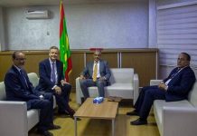 Le ministre de l'énergie discute avec Aura Energy de l'avancement du projet d'exploitation de l'uranium