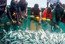 Le Sénégal renouvelle son protocole de pêche avec la Mauritanie dans l'attente d'un nouvel accord-cadre