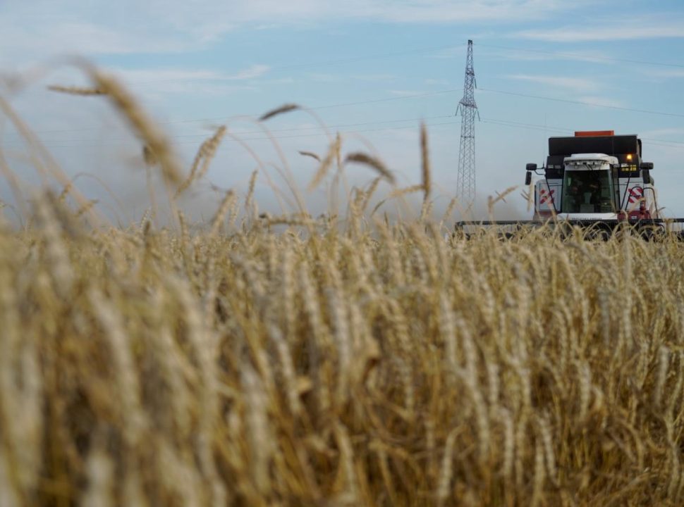 FAO : La production céréalière en Afrique australe a baissé de 20 pour cent