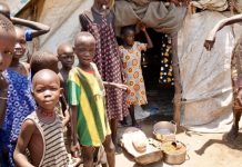 Nations Unies : Près de 12 millions de personnes au Sahel sont menacées d'insécurité alimentaire
