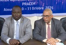 Le Commissariat à  la sécurité alimentaire  inaugure un atelier pour lancer le programme de soutien à la résilience alimentaire dans les États du centre et de l'est