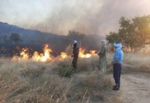 Un incendie dans le village de Tbeibil endommage les pâturages en Assaba