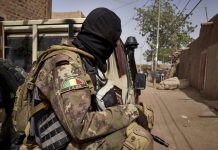 Rapport sur les droits humains : l'armée malienne responsable du meurtre de 31 civils dans le centre du pays