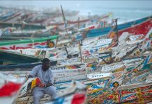 Reprise des activités de pêche artisanale à Nouadhibou après la fin de la période de repos biologique