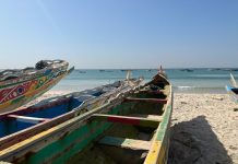Venezuela : 14 corps de migrants africains retrouvés dans un bateau