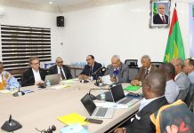 Lancement des travaux de la 13e réunion du programme d'amélioration de la pêche des petits pélagiques.
