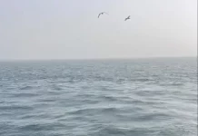 La garde côtière sauve une pirogue en mer au large des côtes de Nouadhibou
