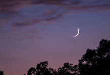Un membre du comité des croissants lunaires nie la confirmation de la vue du croissant de Ramadan hier.