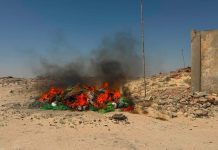 Destruction de quantités de filets "monofilament" interdits à Nouadhibou